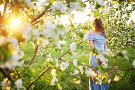 Girl with a basket in her hands stands at sunset in a flowering gardenの写真素材