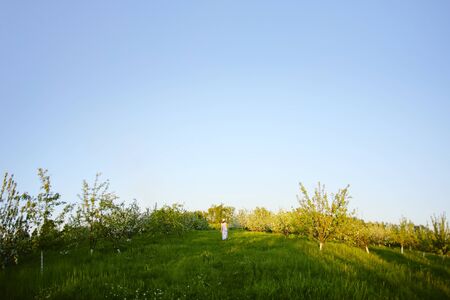 Beautiful woman enjoying daisy field, nice female lying down in the meadow of flowers, pretty girl relaxing outdoor, having fun, happy young lady and spring green nature, harmony and freedom conceptの写真素材