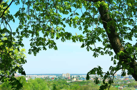 Summer sunny city on the horizon line under the blue sky.