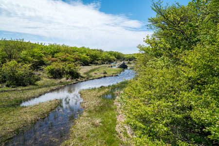 Hallasan Mountain, a heritage National Park at Jeju island Koreaの写真素材