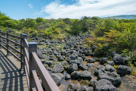 Hallasan Mountain, a heritage National Park at Jeju island Koreaの写真素材