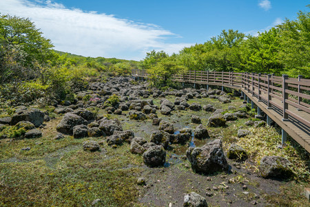 Hallasan Mountain, a heritage National Park at Jeju island Koreaの写真素材