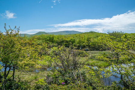 Hallasan Mountain, a heritage National Park at Jeju island Koreaの写真素材
