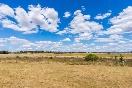 Cloudscape of autumn scene. Tree and dry grass field.の写真素材