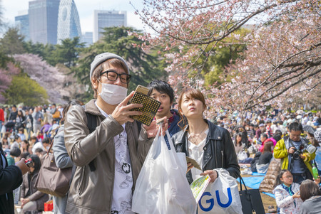 Shinjuku, Tokyo, Japan - April 02, 2017: Shinjuku Gyoen National Park during early cherry blossom (sakura hanami). It is one of the most famous place to view sakura flowerのeditorial素材