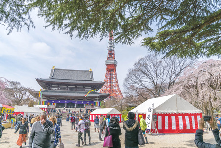 Minato, Tokyo, Japan - April 02, 2017: Shiba Park during early cherry blossom (sakura hanami). It is one of the most famous place to view sakura flower nearby Tokyo Towerのeditorial素材