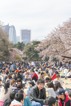 Shinjuku, Tokyo, Japan - April 02, 2017: Shinjuku Gyoen National Park during early cherry blossom (sakura hanami). It is one of the most famous place to view sakura flowerのeditorial素材