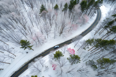 Aerial view of the road in winter forest with snow covered treesの素材