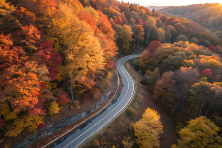 Aerial view of the road in the autumn forest at sunset.の素材