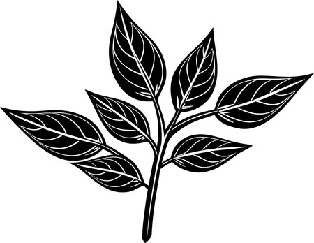 Leafy Plant Vector Illustration. Leafy Plant Silhouetteのイラスト素材