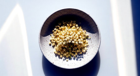 Elderflower in a ceramic bowl on a white background, top viewの素材