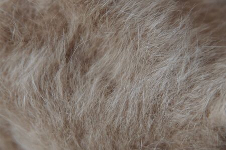 beige and white wool close-up