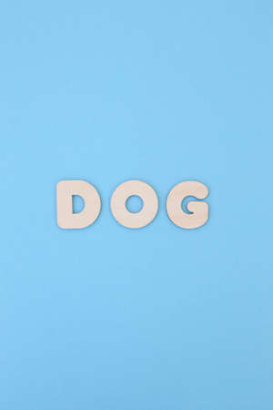 A lot of wooden letters on a colored background full screen.の写真素材