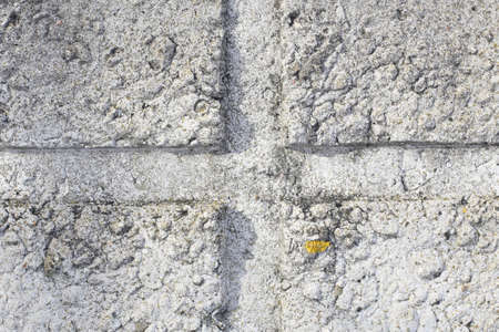 Stone, grungy, old concrete texture, full screen.の写真素材