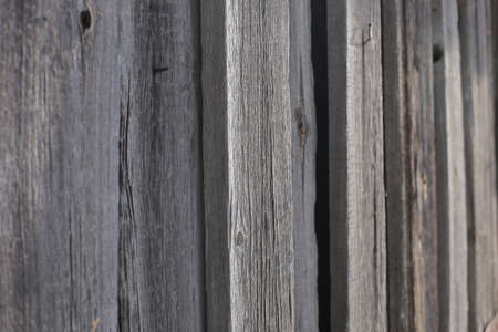 Old, wooden, shabby wall in full screen.