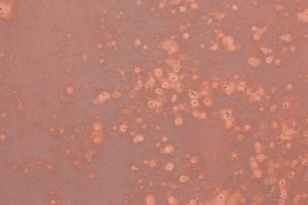 Iron, colored and rusty texture. Shabby metal surface in full screen.