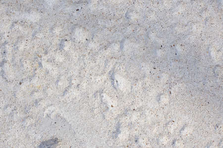 Old, sloppy, stone surface in the whole era. close photographed.