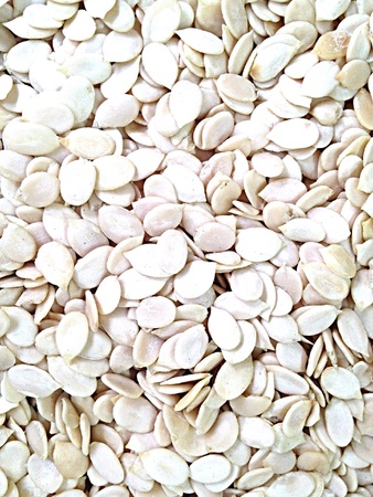 Squash seedsの素材