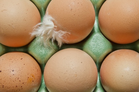 Basket of bio eggs, decorated with a single chicken feather