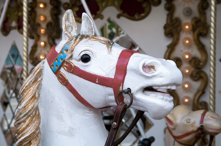 Head of a carousel horseの写真素材