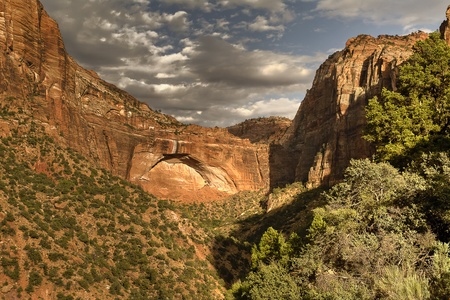 Rocky mountains in Zion national park, USAの写真素材