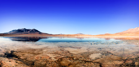 Laguna at the \\ \"Ruta de las Joyas altoandinas \\\" in Bolivia with pink flamingos fishing in the lake.の写真素材
