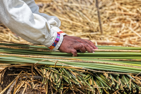 Man of the Uru  in Bolivia shows tourists how to  produce  a block of the traditional reed islandsの写真素材