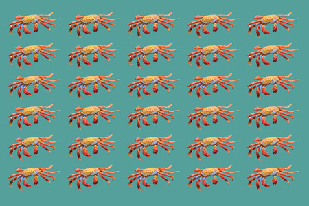 Uniform pattern of red crabs on turquoise background