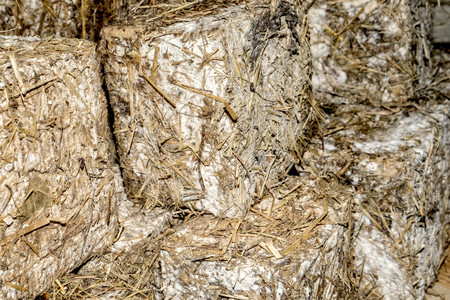 Italian traditional delicacy, feta cheese coated with straw, stacked to a heap.の写真素材