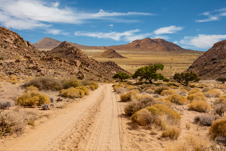 Namibia landscape with unprepared road leading to nowhere.の写真素材