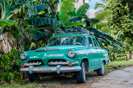 Baracoa, Cuba- NOVEMBER 16, 2019: American Dodge old timer standing at a jungle road in Baracoa. Historic old timers are a main attraction in Cuba.のeditorial素材