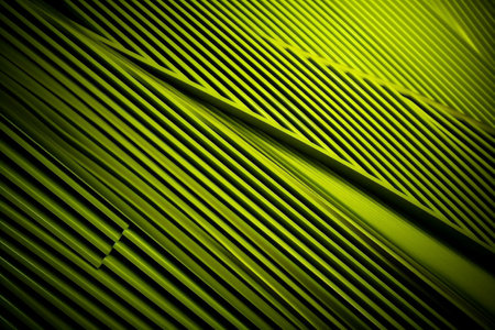 Abstract green background with diagonal stripes. 3d rendering, 3d illustration.の素材
