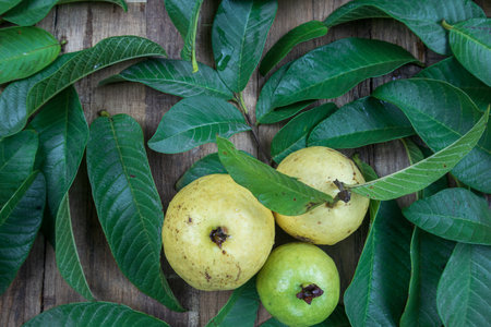 guava fruit with leaves on wooden background, guava fruit with leaves
