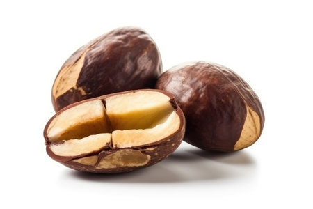 Brazil nut isolated on white background. with Generative AIの素材