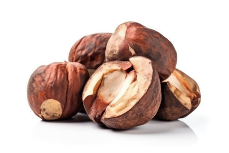 Brazil nut isolated on white background. with Generative AIの素材