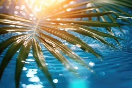 Summer tropical beach background with palm leaves, sparkling water reflections with Generative AIの素材