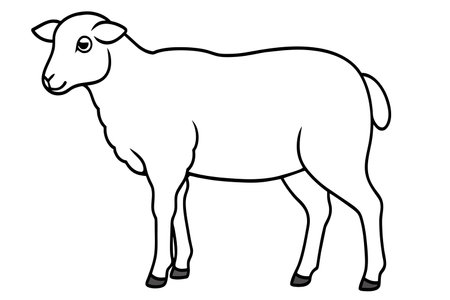 A white sheep is standing in a field. The sheep is looking for the right. The sheep is the main subject of the imageのイラスト素材