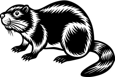 A black and white drawing of a small animal with a long tailのイラスト素材