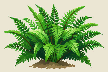 A green plant with leaves that are spread out. The plant is in a pot and is surrounded by dirtのイラスト素材