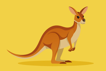 A cartoon kangaroo is standing on a yellow background. The kangaroo is looking at the camera and he is curiousのイラスト素材