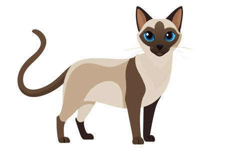 A Siamese cat with striking blue eyes standing alert and graceful.のイラスト素材