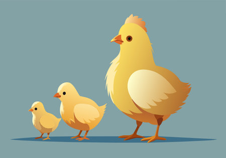 A mother chicken stands between two baby chicks. Concept of warmth and family, as the mother hen looks down at her young onesのイラスト素材
