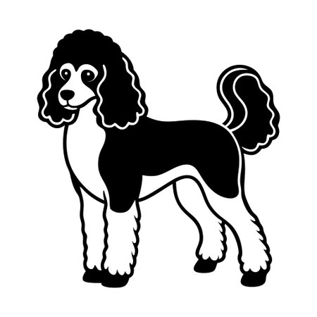 A black and white poodle dog with a white spot on its head. The dog has a happy expression and is standing uprightのイラスト素材
