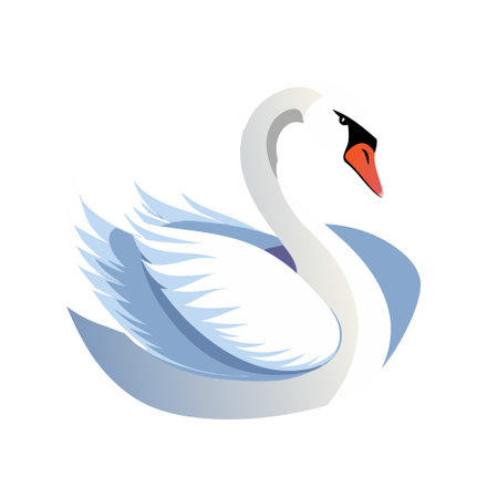 A white swan with orange beak and orange feetのイラスト素材