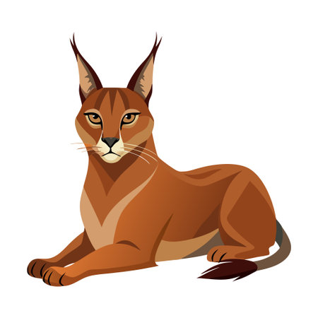 Detailed illustration of a majestic caracal cat resting calmly. Perfect for wildlife, nature, and animal kingdom-related designs.のイラスト素材