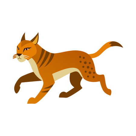 Colorful illustration of a lynx walking with alertness. Wild cat depicted on a white background, showing its distinct features and natural movement.のイラスト素材