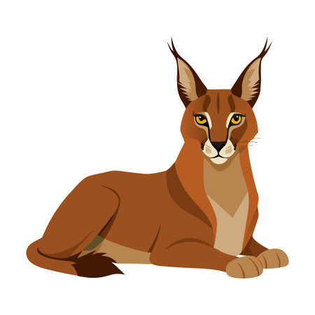 Vector illustration of a caracal lying down with a white background. The wild cat appears relaxed and attentive.のイラスト素材