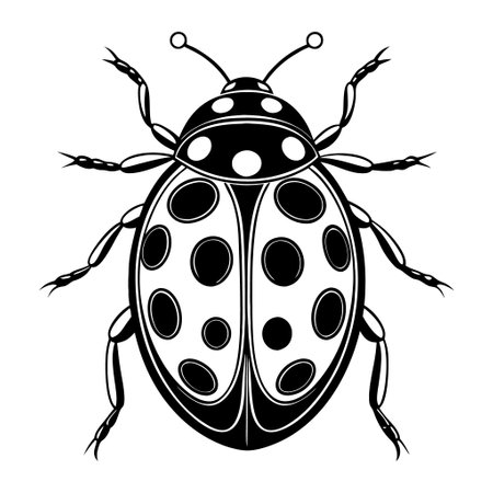 A black and white drawing of a ladybug with many dots on its back. The ladybug is the main focus of the image, and the dots are scattered all over its body. The image has a simple and elegant styleのイラスト素材