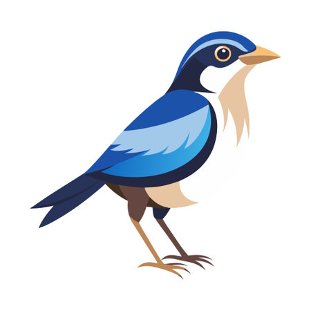 A blue and white bird with a black beak stands on a white background. The bird is looking at the cameraのイラスト素材