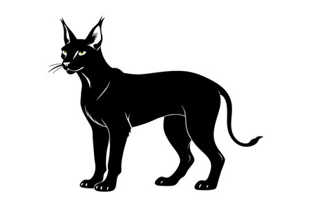 A black cat with a yellow eye stands in front of a white background. The cat has a fierce and intimidating appearance, which suggests that it may be a wild or feral catのイラスト素材